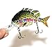 Discover Fish New Multi Jointed Fishing Life-Like Hard Lure Bass Bait Swimbait Minnow Crank Shad Herring Bass Pike Muskie