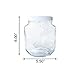 (2 Pack) 1/2 Gallon Clear Glass Jar with White Plastic Cap (110/400)