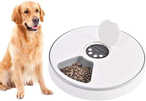 self timer dog feeder
