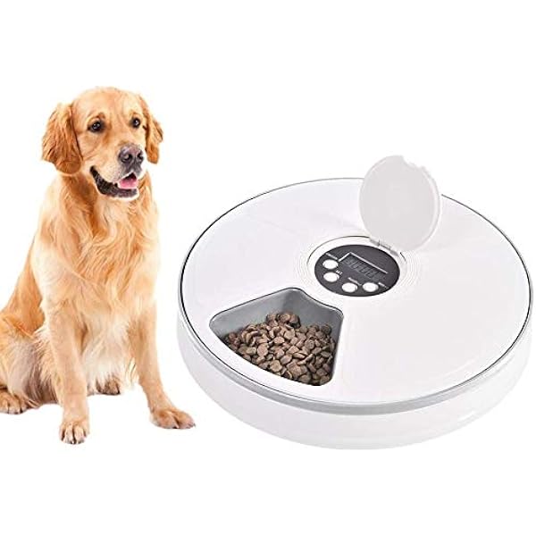 short dog lead handle