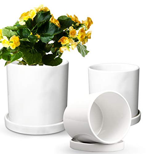 image for Brajttt Flower Pots,Small to Large Sized Round Planter Pots,Ceramic Pl