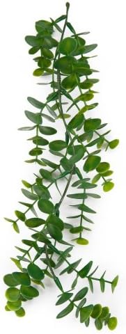 Penn Plax Reptology Eucalyptus Habitat Vine
