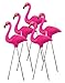 Pink Flamingo 4