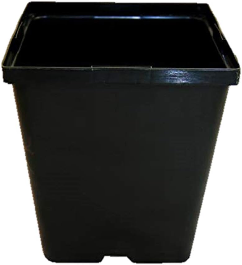 DILLEN Square Pots 5.50โ X 6โ Deep Greeen Perennial Growing Pots - 25 Pack