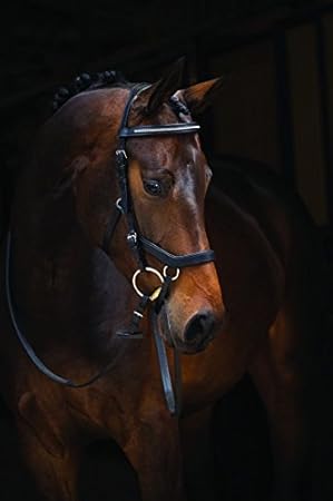 Horseware Rambo Micklem Competition Diamante Bridle Trense schwarz wählbare Größe