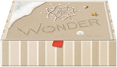 20 Christmas Cards and Envelopes, 4 Assorted Shells on the Beach Theme Noel, Peace, Rejoice and Wonder