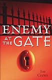 Paperback Enemy At the Gate Book