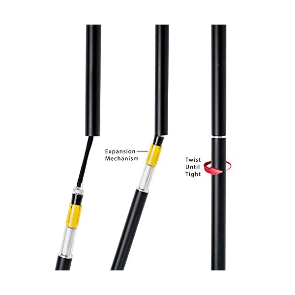 sterling endurance trekking pole