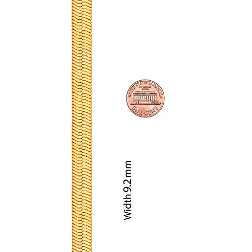 41omJUZF3rL.jpg