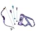 Disney Princess Merida Bow and Arrow Set