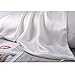 ALASKA BEAR Luxurious 25 Momme Silk Pillowcase, 100% Mulberry Silk Pillow Case Cover, Standard (1, Ivory(Natural Undyed White))