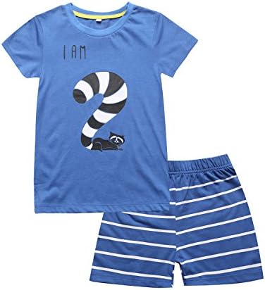 Mini Era Color Changeable Toddler Boys' Animal 2rd Birthdays Gift Short Set (2T)