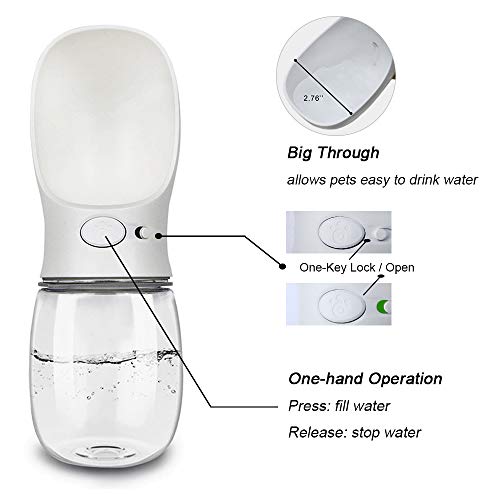 qqpets dog water bottle