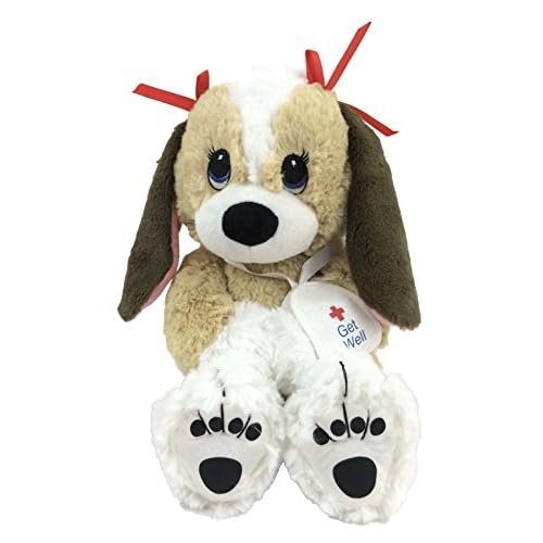 get well present for dog