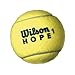 WILSON Sporting Goods Hope All Court Extra Duty Tennis Balls