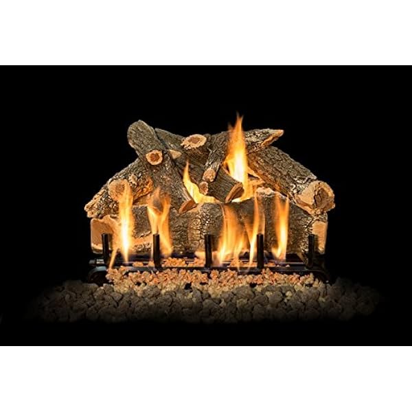 Amazon.com : Grand Canyon Gas Logs AWOST24LOGS Arizona Weathered Oak  See-Through Logs, 24 in. : Home u0026 Kitchen