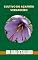 Livro Cultivo do Açafrão Verdadeiro: Um Guia Detalhado (Empreendedorismo: o quê produzir para vender Livro 1)