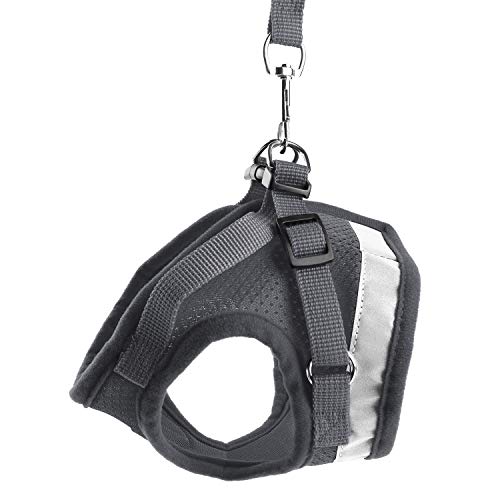 Kamots Beauty Escape Proof Dog Cat Harness and Leash with Reflective Strap Soft Mesh Adjustable Vest with Lead for Kitten Puppy Rabbit Small Pet Walking -(Grey,XS)