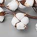 Allora Decor Farmhouse Rustic 21” Cotton Stems Brown