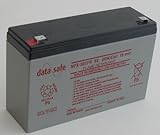 DataSafe NPX-50TFR 6 Volt/50 Watts per Cell Sealed Lead Acid Battery with 0.250 Fast-on Connector - Flame Retardant Case
