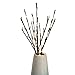 BABALI Lighted Artificial Branches 20 Inches 48 Led Battery Operated Decorative Branches Willow Lighting Twig Branch Lights Warm White Crafts with Timer