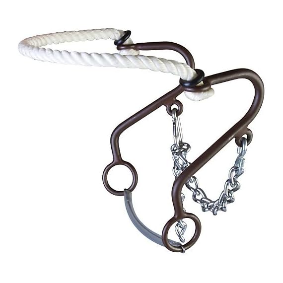 Aime-Imports-Westen-at-Rope-Nose-Little-S-Hackamore