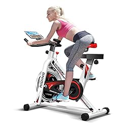 HARISON Exercise Bike Stationary Bikes for Home Use