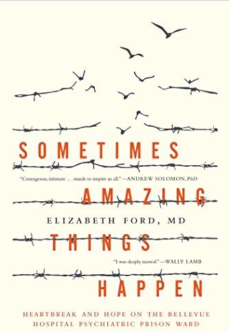Sometimes Amazing Things Happen: Heartbreak and Hope on the Bellevue Hospital Psychiatric Prison Ward