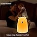 Night Light Lamp LED Lighting Cartoon Lauco Cute Bear,Silicone Multicolor USB Rechargeable Soft Nursery Lamp for Baby Kids Toddler Boys Girls,and Sensitive for Bedroom or Bed,Kitchen-Tap Control
