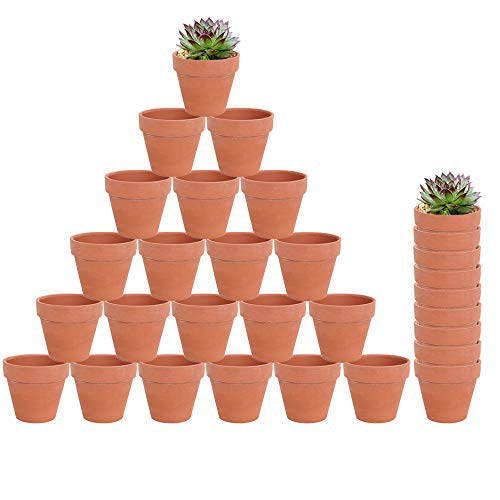 30-Count Mini 2-Inch Terra Cotta Flower Pots - Ceramic Pottery Clay Planters  for Cacti and Succulent Plants, Wedding Bridal Party Favors in Saudi Arabia  | Whizz Pots