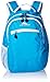 High Sierra Curve Backpack, Pool/White, 18.5 x 12.5 x 8.5-Inch
