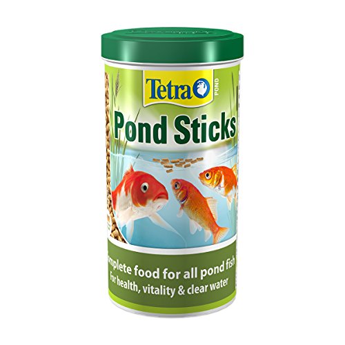 pond food