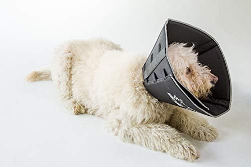 30cm dog cone