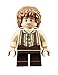 LEGO The Hobbit 79003 An Unexpected Gathering