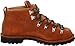 Danner Men's Mountain Trail Boot
