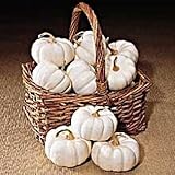Baby Boo Pumpkin 25 Seeds