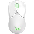 DeLUX M800PRO Wireless Gaming Mouse - PAW 3370 Sensor, Multi-Device Connection, TTC Encoder Wheel, 19000DPI, 70g Lightweight,