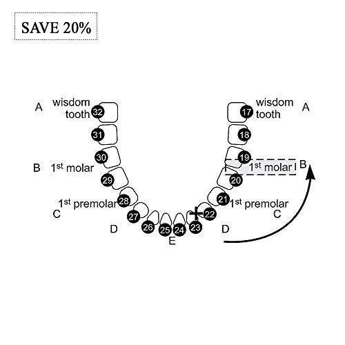 Tongue-Tied: Functional Assessment and Remediation of TOTs (Tethered Oral Tissues) - //medicalbooks.filipinodoctors.org