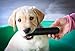 Goughnuts Toys for Aggressive Chewers | Heavy Duty Virtually Indestructible Dog Toy Stick for Medium Breeds Such as Pit Bulls | Black