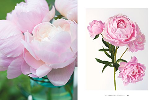 Peonies: Beautiful Varieties for Home & Garden (Flowers) - Thumbnail 6
