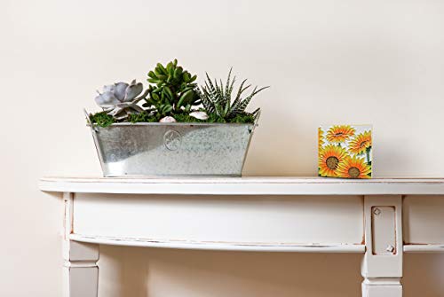 Continental Art Center SD-004 4 by 4-Inch Four Sunflowers Ceramic Art Tile - Thumbnail 2