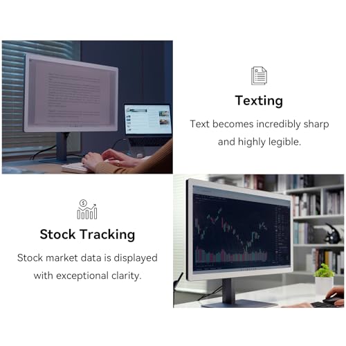 Bigme B251 Epaper Color Monitor 25.3 Inch Screen