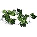 SunGrow Natural Looking Reptile Plants - Vibrant Green Terrarium Plastic Plants 6.5ft Easy to Clean Silk Leaves - Creates Natural Hiding Spot for Reptiles and Amphibians - Suction Cups Included