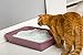HARTZ Multi-Cat Lightweight Recycled Clumping Paper Cat Litter