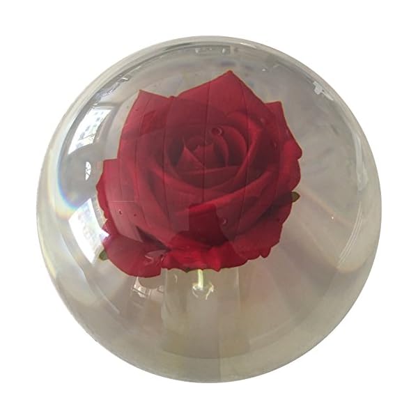 KR Clear Red Rose Bowling Ball 14lbs