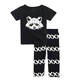 Big Elephant Baby Boys' 2 Piece Short Sleeve Shirt Pants Clothing Set Black E77