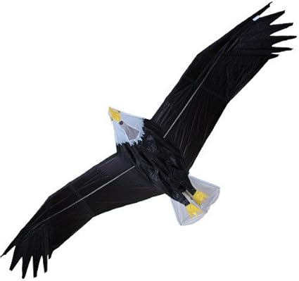 rc eagle