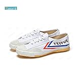 Yantzi's Feiyue Martial Arts Shoes