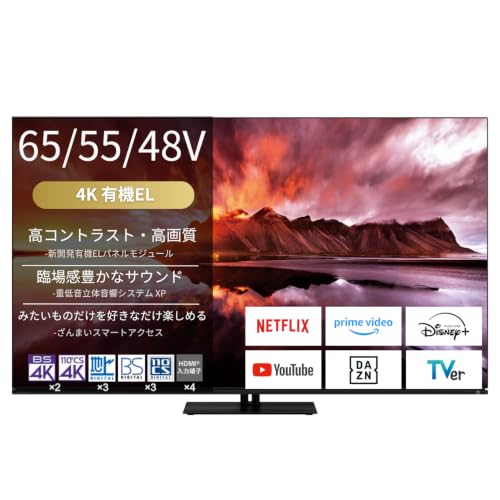 REGZA レグザ 65V型 4K有機ELテレビ 65X8900N