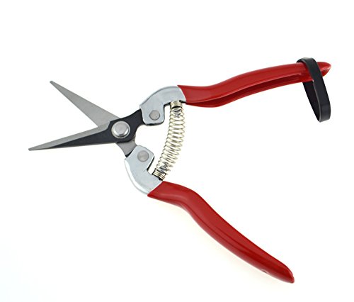 Thosdt Micro-Tip Pruning Snip,Florist Multi-Tasking Garden Scissors, Small Hand Pruner for Arranging Flowers, Trimming Plants & Harvesting Hydroponic Herbs
